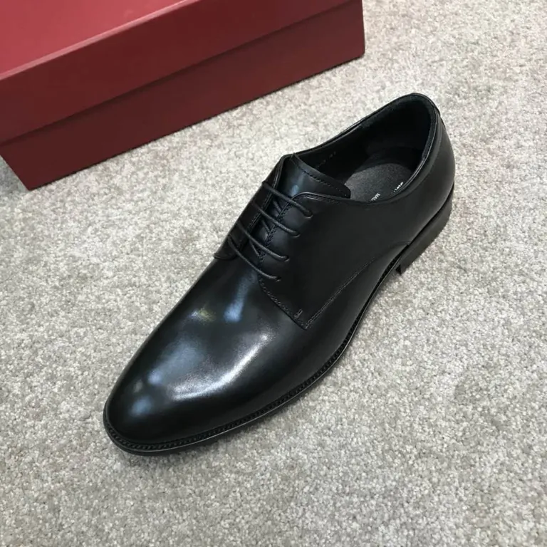 Ferragamo Shoe 